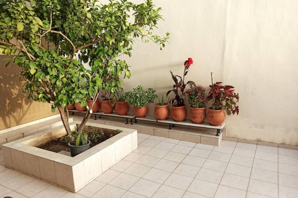 Jilda S Apartment With Private Garden! Anabolu Dış mekan fotoğraf